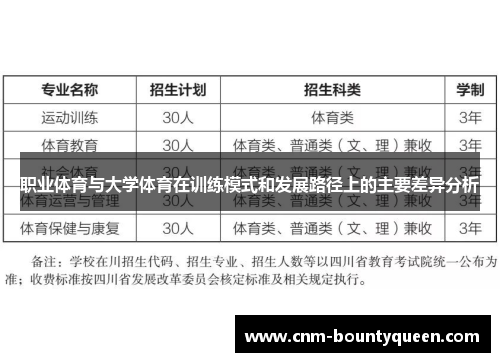 职业体育与大学体育在训练模式和发展路径上的主要差异分析