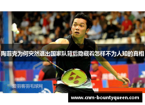 陶菲克为何突然退出国家队背后隐藏着怎样不为人知的真相