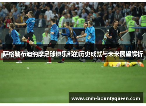 萨格勒布迪纳摩足球俱乐部的历史成就与未来展望解析